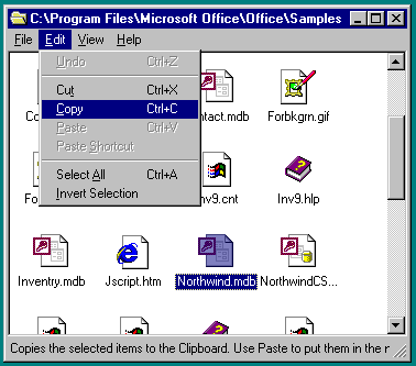 copying the Northwind sample database to the clipboard