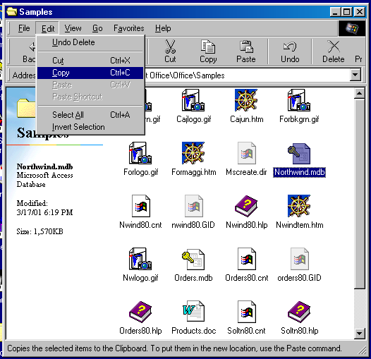 copying the Northwind sample database to the clipboard