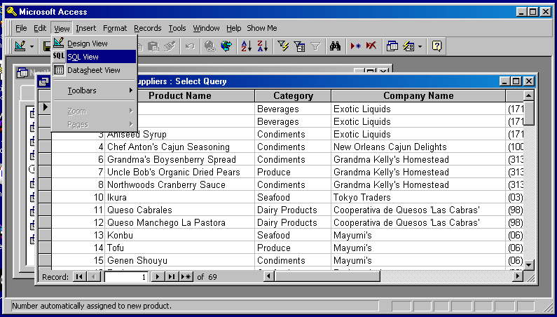 displaying the query in SQL view